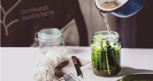 germinando-barrio-alimentos
